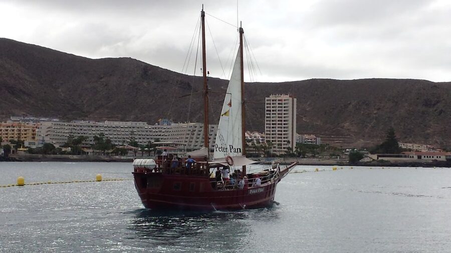 Tenerife:Respectful Whale Watching, Pirate Ship, & Swim - Why pilot whales gather along Tenerife’s west coast