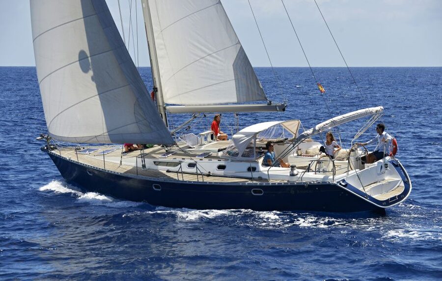 Tenerife: Sailing Excursion with Whale and Dolphin Watching - Sailing along Tenerife’s coast