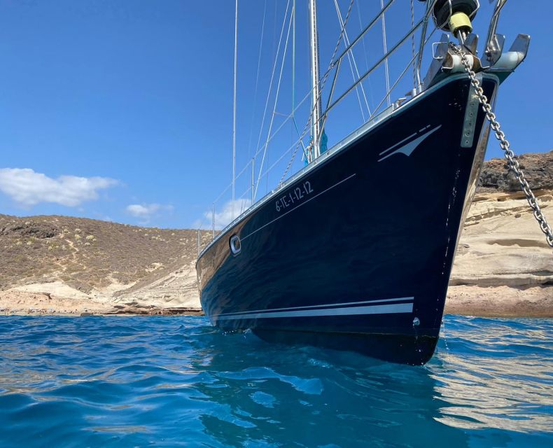 Tenerife: Sailing Excursion with Whale and Dolphin Watching - A quiet bay for swimming and snorkeling
