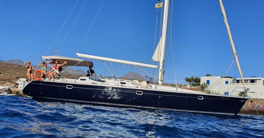 Tenerife: Sailing Excursion with Whale and Dolphin Watching - What the $88 price really gets you