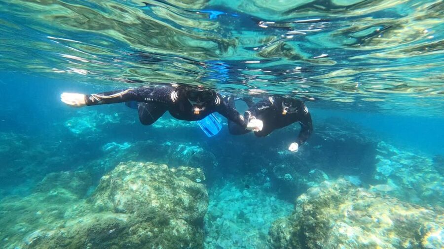 Tenerife: Snorkeling Tour in a Marine Protected Area - Five things to know before you go