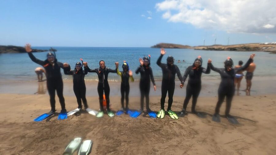 Tenerife: Snorkeling Tour in a Marine Protected Area - Who should book this Abades snorkeling trip?