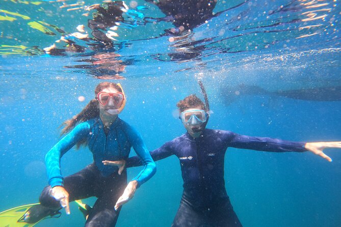 Tenerife Snorkeling Tour in turtle habitat - Is $54.07 a fair price?