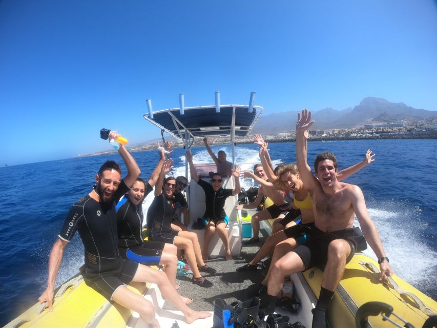 Tenerife: Snorkeling Trip in a Turtle Habitat - Photos, water, and small extras