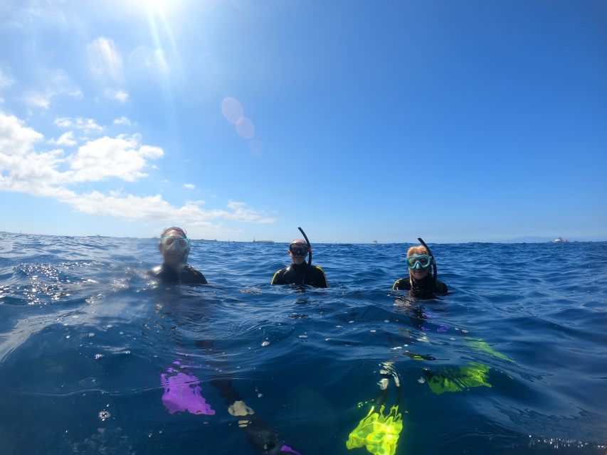 Tenerife: Snorkeling Trip in a Turtle Habitat - The speedboat ride to the Turtle Area