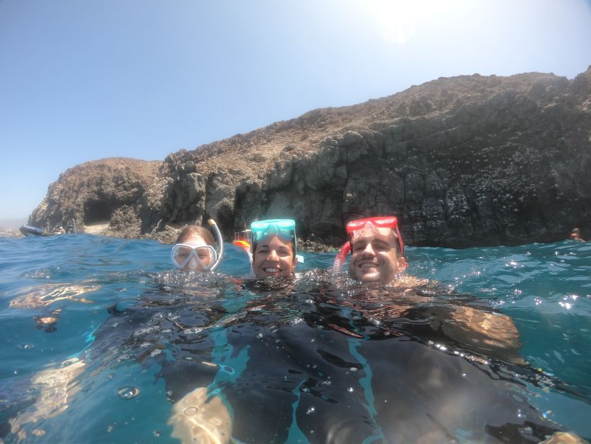 Tenerife: Snorkeling Trip in a Turtle Habitat - Guides, safety, and the feel of the group