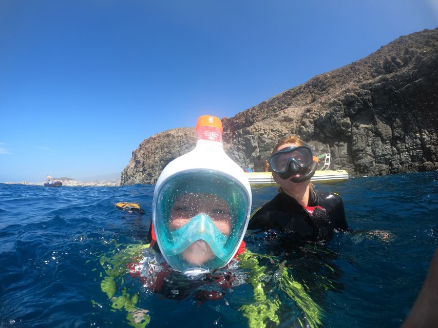 Tenerife: Snorkeling Trip in a Turtle Habitat - Meeting at Puerto Colón