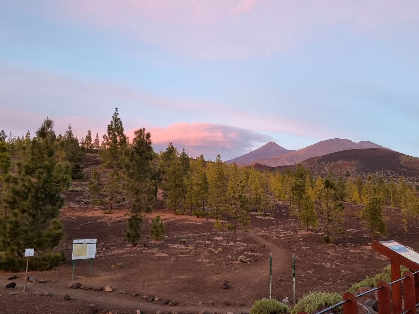 Tenerife: Sunset and Stargazing at Teide National Park - What you can see through the 12-inch telescope