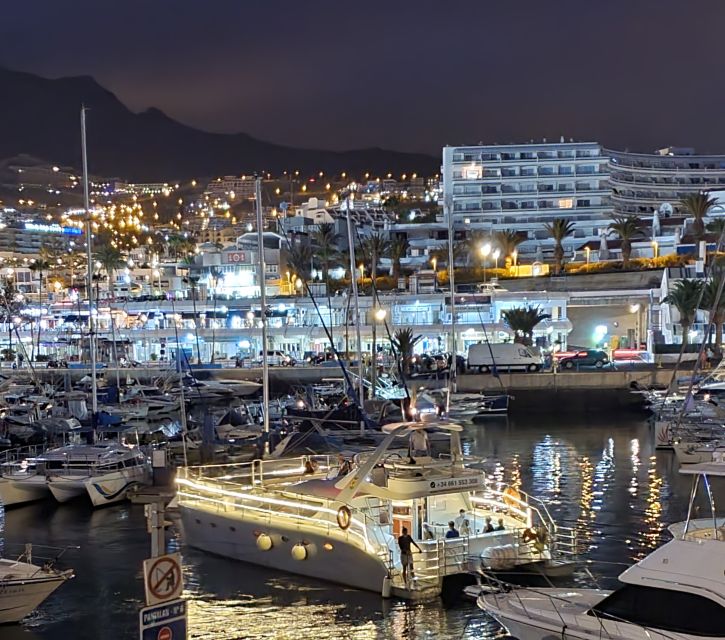 Tenerife: Sunset Catamaran Tour with Transfer, Buff & Drinks - How the $67 price compares with the experience