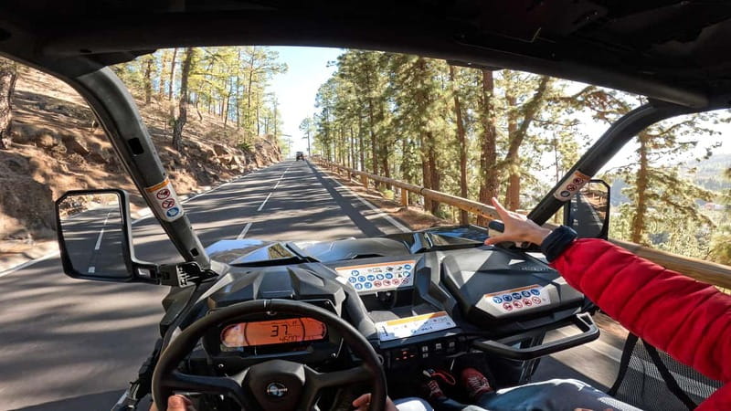 Tenerife: Teide National Park Guided Buggy Tour - The buggy itself: exciting, but not a quiet sightseeing ride