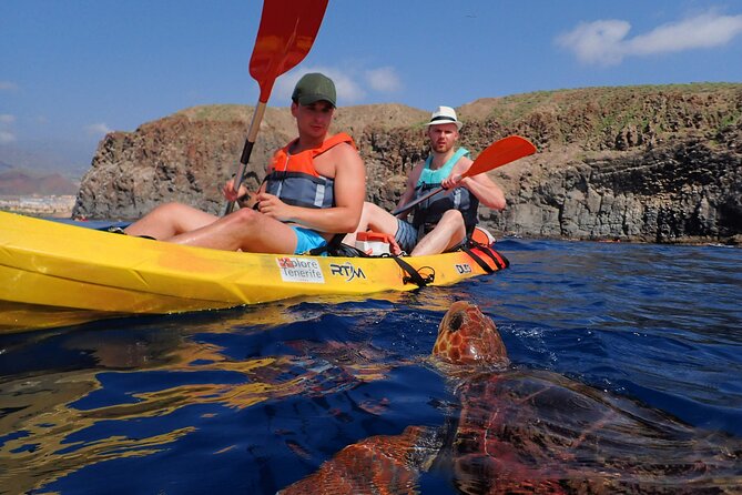 Tenerife: Turtle & Dolphin Kayak Tour with Snorkel & Wetsuit - Starting from Los Cristianos and Xplore Tenerife