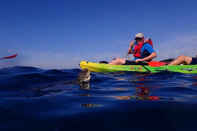 Tenerife: Turtle & Dolphin Kayak Tour with Snorkel & Wetsuit - Searching for dolphins in the open sea