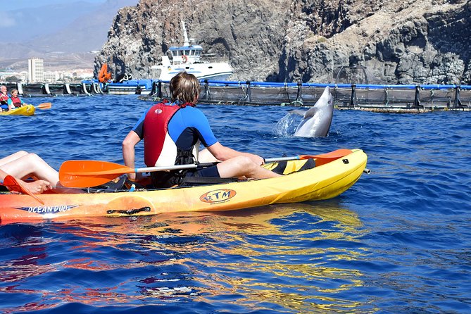 Tenerife: Turtle & Dolphin Kayak Tour with Snorkel & Wetsuit - The snorkeling stop and what you may see