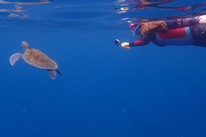 Tenerife: Turtle & Dolphin Kayak Tour with Snorkel & Wetsuit - Returning with Mount Teide in view