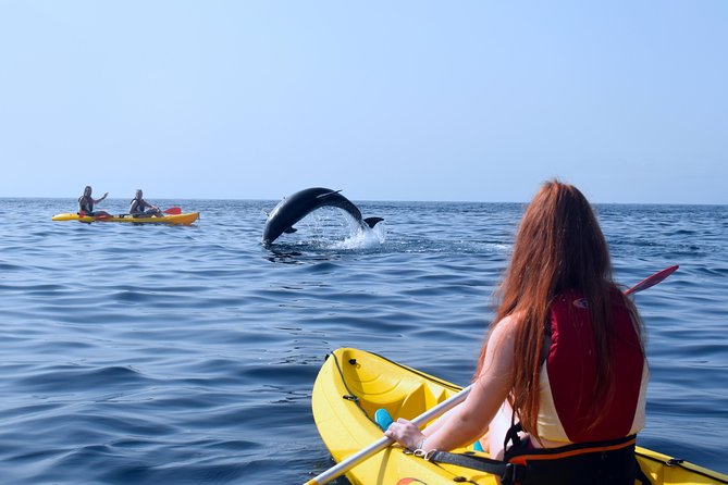 Tenerife: Turtle & Dolphin Kayak Tour with Snorkel & Wetsuit - Guides, communication, and group care