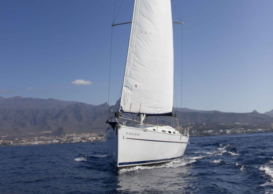 Tenerife: Whale and Dolphin Watching Tour by Sailboat - Key points to know before you book