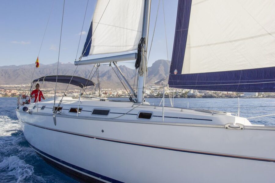 Tenerife: Whale and Dolphin Watching Tour by Sailboat - The crew and bilingual guiding