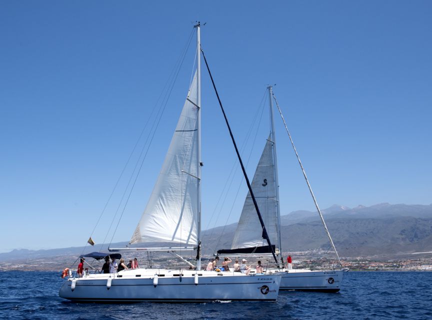 Tenerife: Whale and Dolphin Watching Tour by Sailboat - Who will enjoy this most