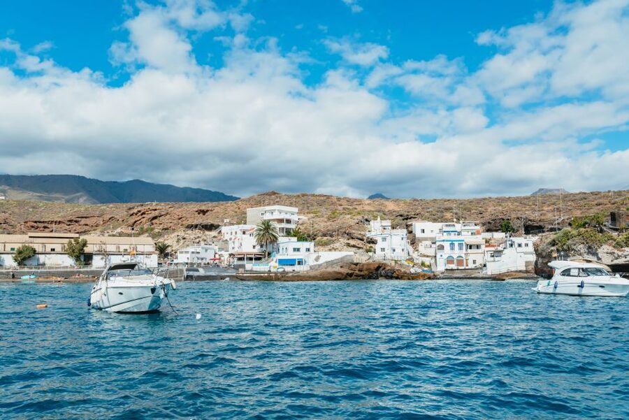 Tenerife: Whale & Dolphin Watching with Drinks and Snacks - The swim and snorkeling stop