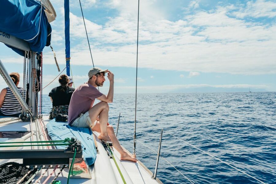 Tenerife: Whale & Dolphin Watching with Drinks and Snacks - Handling seasickness before it starts