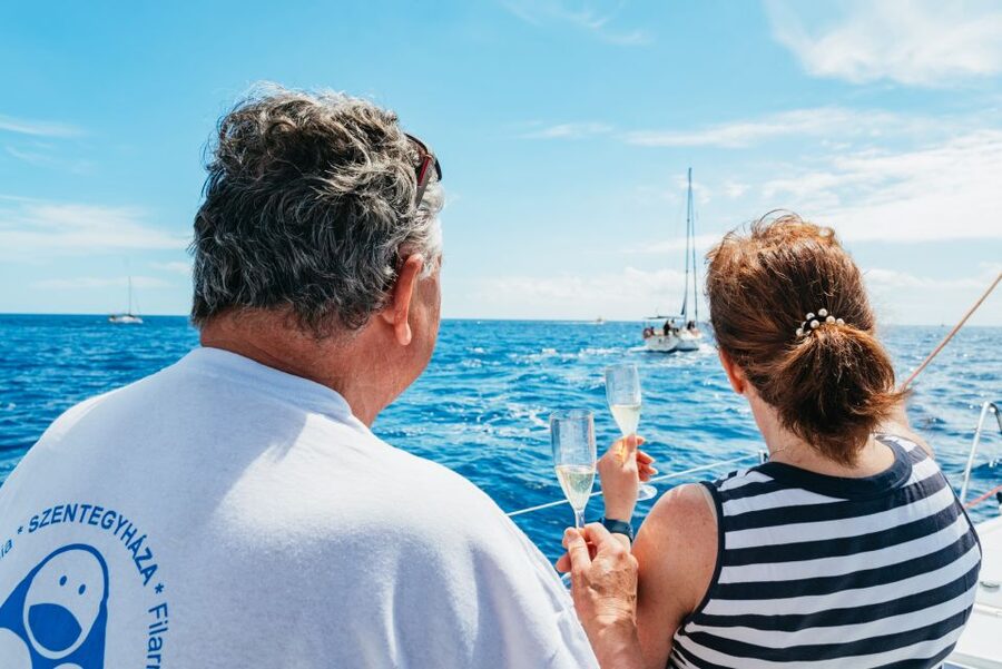 Tenerife: Whale & Dolphin Watching with Drinks and Snacks - Who should book this Tenerife cruise?