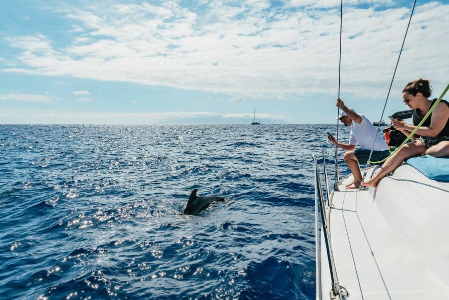 Tenerife: Whale & Dolphin Watching with Drinks and Snacks - Leaving Puerto Colón for the Atlantic