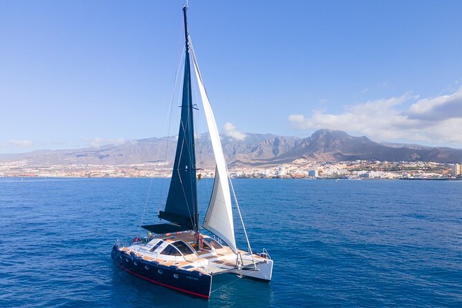 Tenerife Whales and Dolphins Watching Experience in Catamaran - Sandwiches, drinks, and a relaxed deck