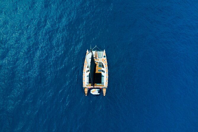 Tenerife Whales and Dolphins Watching Experience in Catamaran - Who will enjoy this boat trip most?