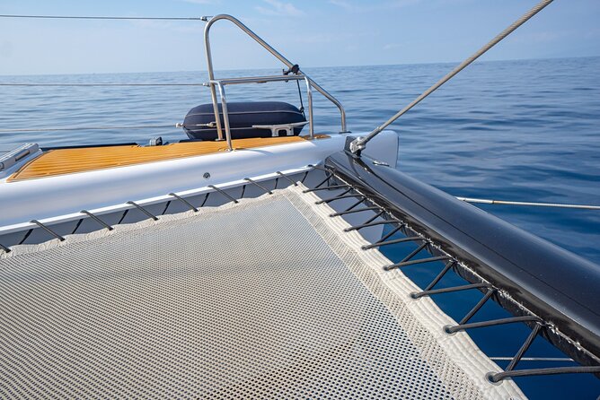 Tenerife Whales and Dolphins Watching Experience in Catamaran - Booking, cancellation, and practical details
