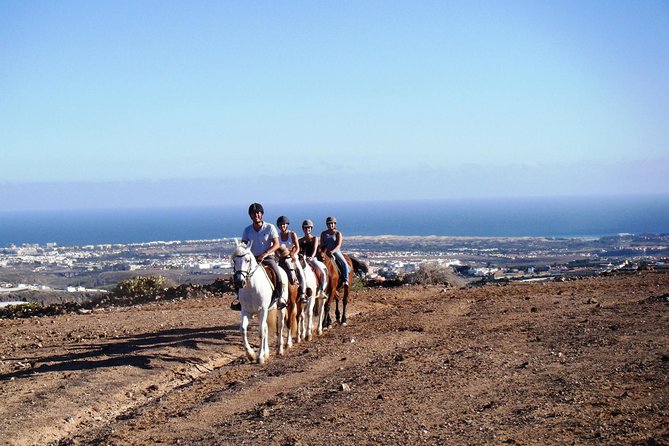 The Best Horse Riding Experience in Gran Canaria (2 hours) - Key points to know before booking