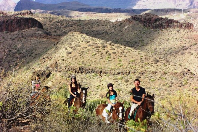 The Best Horse Riding Experience in Gran Canaria (2 hours) - Is $67.75 a fair price?