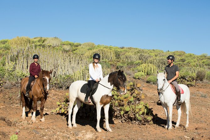 The Best Horse Riding Experience in Gran Canaria (2 hours) - Safety, comfort, and the rough ground