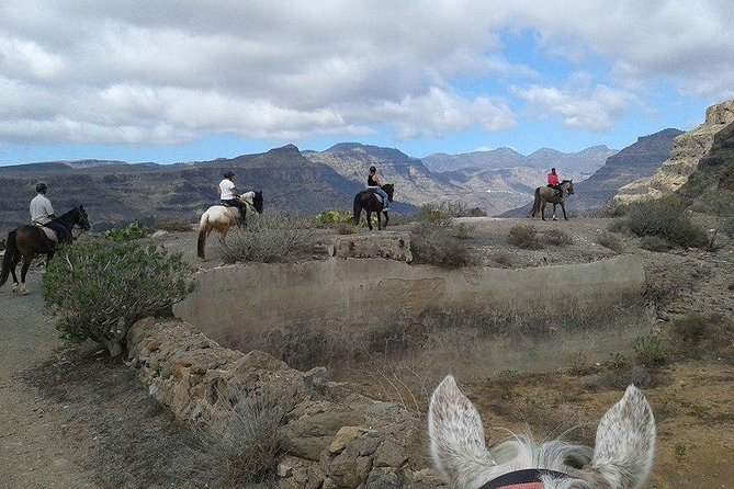 The Best Horse Riding Experience in Gran Canaria (2 hours) - What the two-hour trail is really like