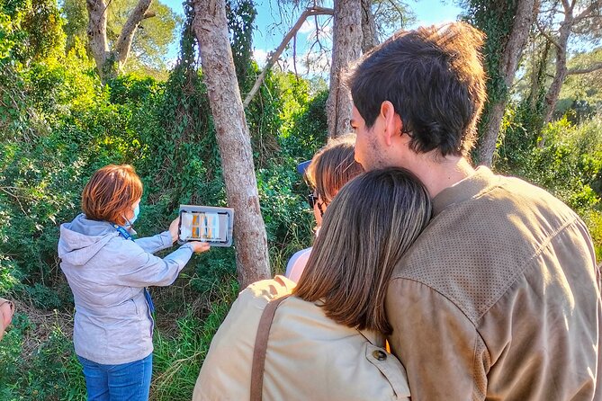 The Original Albufera Tour: Barraca, Boat Ride & Local Guide - Key points to know before you book