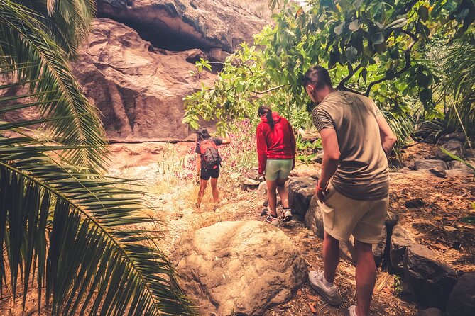 The Red Canyon Tour - Small Group Trip with Local Food Tasting ツ - The Tobas de Colores in Barranco de Las Vacas
