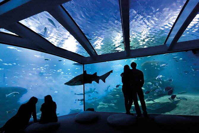 Ticket Palma Aquarium - What your three hours at Palma Aquarium look like