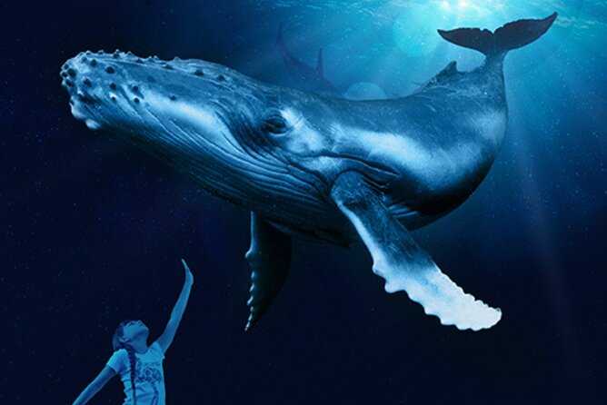 Ticket Palma Aquarium - Why families tend to get the most from this visit
