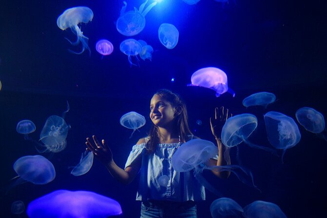 Ticket Palma Aquarium - Crowds, noise, and the best time to arrive
