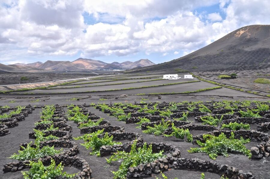 Timanfaya And El Golfo For Cruise Passengers (Mornings) - Meeting the coach at 8:45 AM