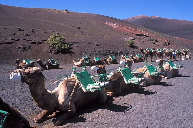 Timanfaya, Golfo, Jameos Agua & Camel Ride (opt) - Lanzarote - Views toward La Corona Volcano and the road north