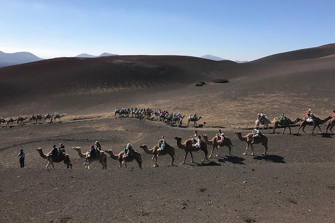 Timanfaya & Lanzarote Volcano Experience - Why this tour works for a first Lanzarote visit