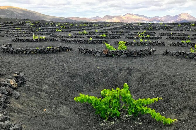 Timanfaya & Lanzarote Volcano Experience - Riding the Volcanoes Route