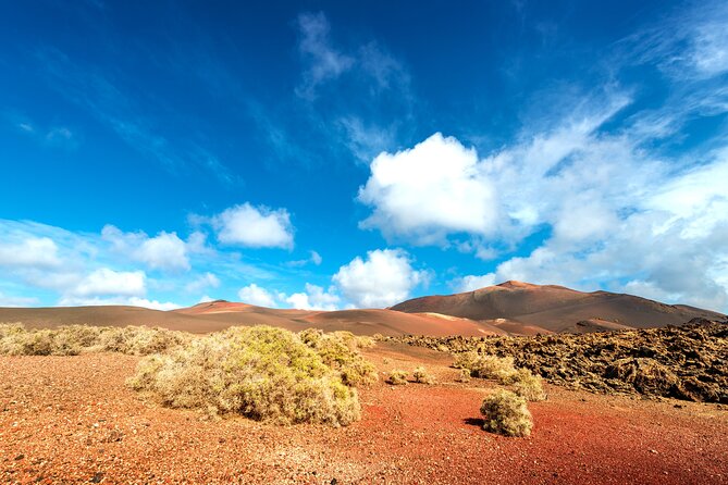 Timanfaya & Lanzarote Volcano Experience - La Geria’s ash-covered vineyards