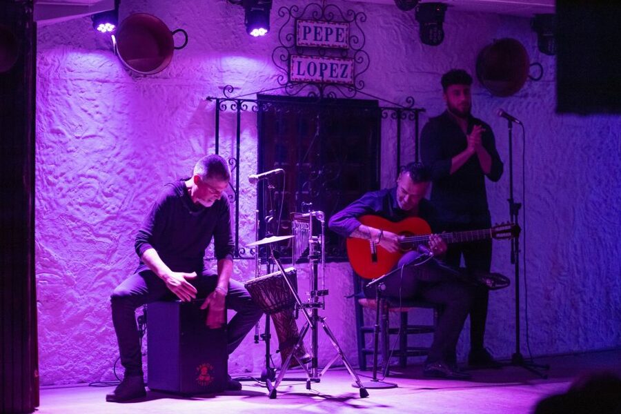 Torremolinos: Flamenco Show with Drinks - Who will enjoy this Torremolinos show most