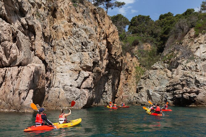 Tossa de Mar: Kayak & Snorkel Tour with Paella from Barcelona - Snorkeling, swimming, and a possible octopus