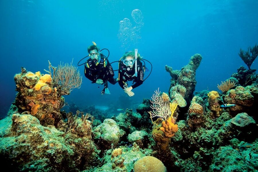 Tossa de Mar: Scuba Diving Experience for Beginners - Key points to know before booking