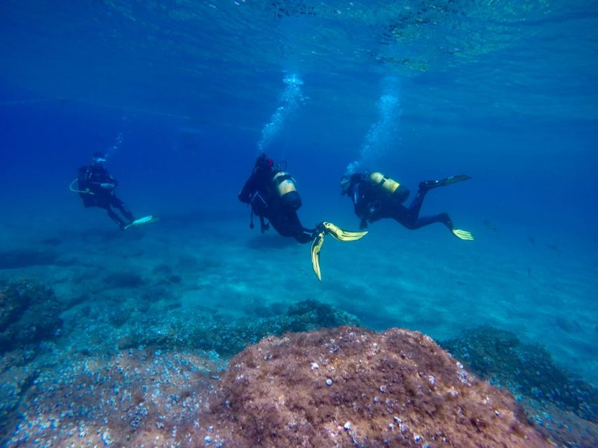 Tossa de Mar: Scuba Diving Experience for Beginners - Meeting the team at Tossasub Diving Center