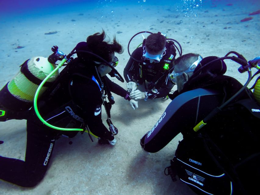 Tossa de Mar: Scuba Diving Experience for Beginners - Is $91 a fair price?