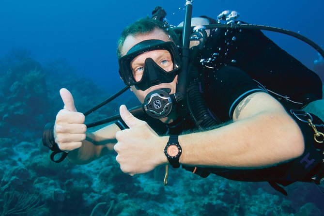 Tossa de Mar Scuba Diving PADI - Marine life and the underwater setting