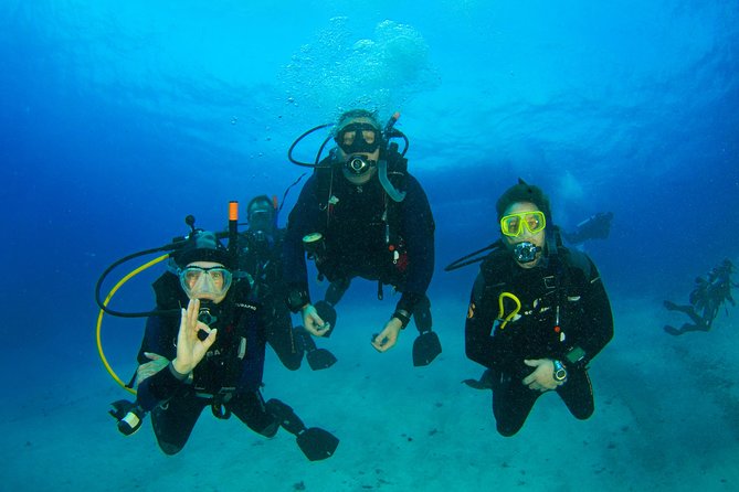 Tossa de Mar Scuba Diving PADI - Photos and videos make the experience easier to remember